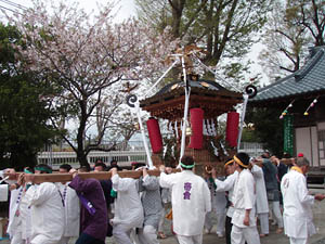 ���������i�P