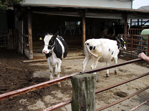 �M�������[