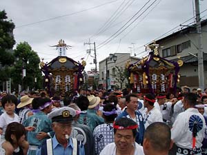 ����n��ҍK�P