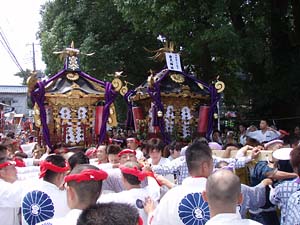 ����n��ҍK�W