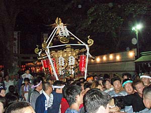 �{�����i�P