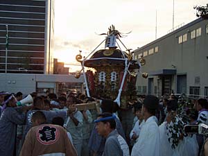 ���z����