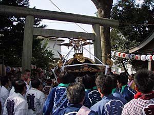 �������T