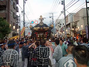 ����͘�����