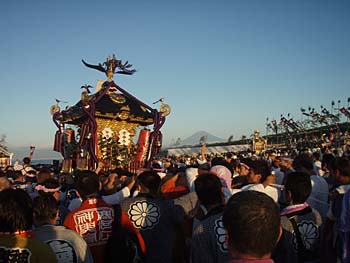 �x�m�R�Ɛ_�`�Q