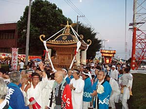 �����������