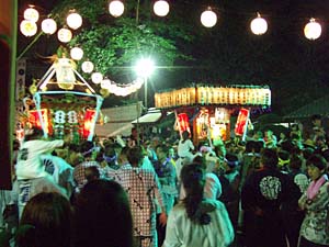 �{�����i�T