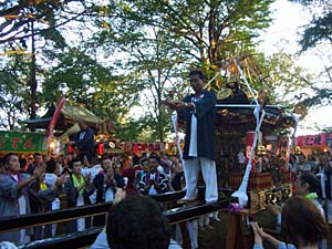 �O�{����