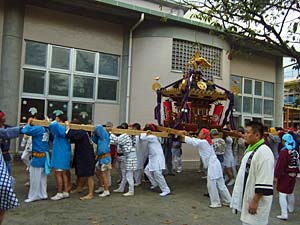 ���������i�S