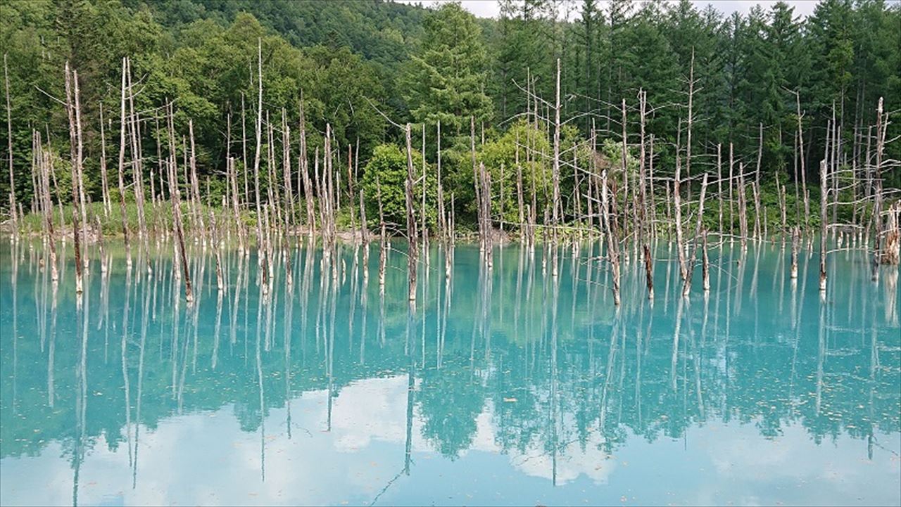北海道縦走旅行（第３日目）